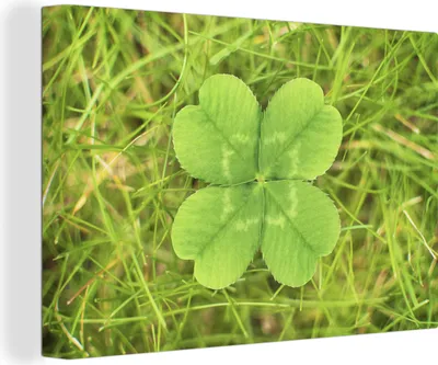 Obrázek produktu pro OneMillionCanvasses® - Obrazy na plátně - 140x90 cm, Čtyřlístek, Nástěnné umění tisk Nástěnná dekorace