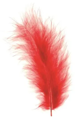 Produktbild von GLOREX Marabufedern rot ca.15 Stück