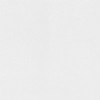 Produktbild von Vliestapete 161311 Tapete Putz 106 x 2500 cm Rasch Selection Weiß