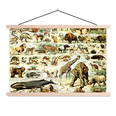 Produktbild von MuchoWow® Textilposter Tiere - Giraffe - Löwe 60x40 cm mit holzfarbenen Rahmen - Bilder