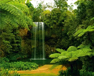Image de Sanders & Sanders papier peint panoramique cascade vert 375 x 270 cm