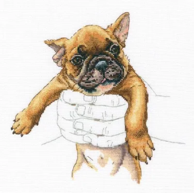 Produktbild von RTO Kreuzstich Set "Wärme in den Händen, Bulldogge" M821, Zählmuster, 20x19,5 cm