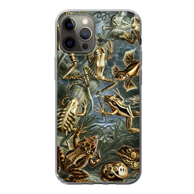Produktbild von MuchoWow® Handyhülle Schutzhülle Hülle für iPhone 13 Pro Batrachia - Haeckel - Alte Meister Silikon Softcase Handy Hülle - Handy-Tasche