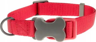 Produktbild von Halsband für mittelgroße Hund parcian Schnalle Knöchel M