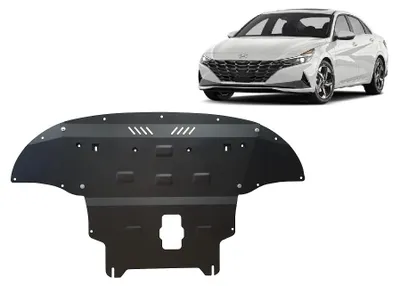 Immagine prodotto di Protezione antincastro per il motore della Hyundai Elantra