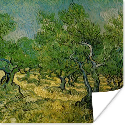 Produktbild von MuchoWow® Poster Olivenhain - Vincent van Gogh 75x75 cm - Wand Dekoration