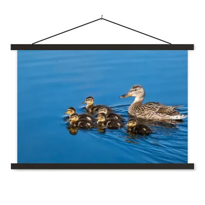 Produktbild von MuchoWow® Textilposter Ente - Wasser - Vogel - Braun 60x40 cm mit schwarzem Rahmen - Hölzernes