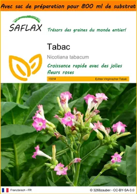 Image de SAFLAX Garden in the bag - Tabac - 250 graines - Nicotiana