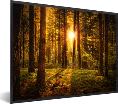 Produktbild von MuchoWow® Gerahmtes Poster Wald - Sonne - Bäume - Natur - Sonnenuntergang 80x60 cm - Poster mit Schwarzem Bilderrahmen Wandposter Rahmen Foto Bilder - Schwarzem - Mit Gestell