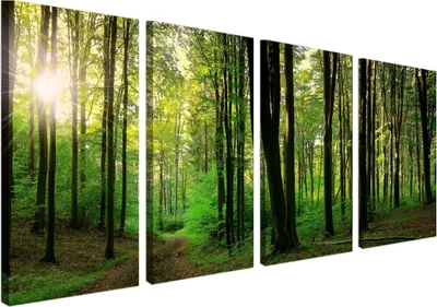 Obrázek produktu pro Fototapeta les na plátně - ekologická barva, voděodolná - 4 kusy 80x160 cm plátno obrazy do obývacího pokoje, ložnice
