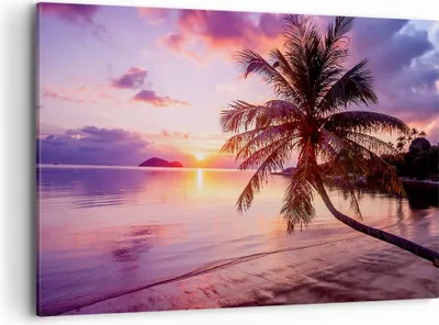 Produktbild von Bild auf Leinwand - Leinwandbild - Strand Meer Palme - 100x70cm - Wand Bild - Wanddeko - Wandbilder - Leinwanddruck - Bilder - Kunstdruck - Wanddekoration - Leinwand bilder - Wandkunst - AA100x70-3912