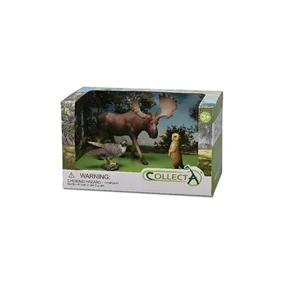 Produktbild von Collecta Wild Animals: 3-teiliges Geschenkset COLLECTA