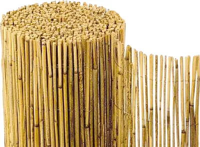 A rolled-up mat made of natural reeds or bamboo, likely for privacy screening or fencing.