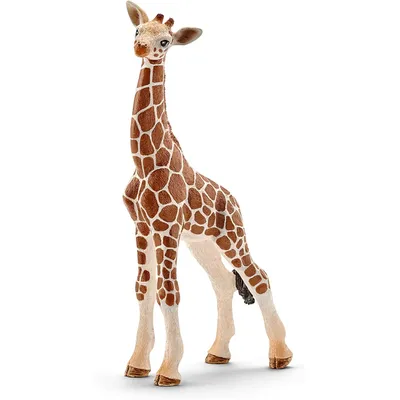 Immagine prodotto di Baby giraffa