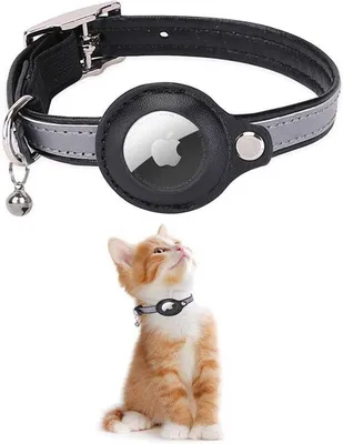 Produktbild von GPS-Tracker für Haustiere - GPS-Katenaufbewahrung - GPS-Hauskat - GPS-Tracker für Katzen - GPS-Hauskatenaufbewahrung