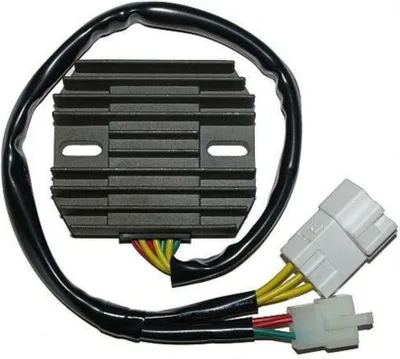 Obrázek produktu pro Regulátor nabíjení ElectroSport ESR 436