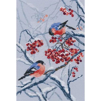 Immagine prodotto di Set per punto croce RTO "Ciuffolotti in bacche" M578, schema contato, 22x33 cm