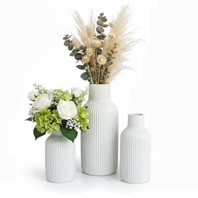 Immagine prodotto di Set di 3 vasi Relaxdays, vasi da fiori, 3 diverse dimensioni, per fiori freschi e secchi, vasi decorativi in Vetroceramica, decorazione da tavola, bianco, Immagine generata dall'IA