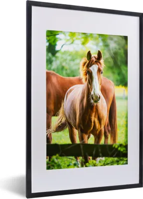 Produktbild von MuchoWow® MuchoWow® Gerahmtes Poster Pferde - Licht - Wiese 40x60 cm - Poster mit zchwarzem Bilderrahmen - Poster in Rahmen