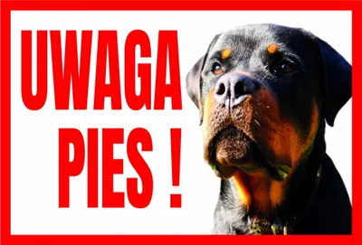 Obrázek produktu pro Výstražná značka ATTENTION DOG ROTTWEILER 250x175 PVC deska
