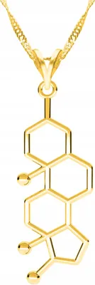 Produktbild von Goldkette mit Testosteronmuster Testosteronmuster Chemie SILBER 925