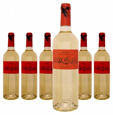 Produktbild von 6 x Bodegas Olarra Otonal Blanco Rioja DO