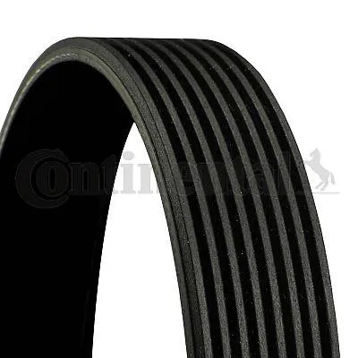 Produktbild von Continental ContiTech 8PK1448 Keilrippenriemen passend für MERCEDES-BENZ ATEGO 2 1448mm