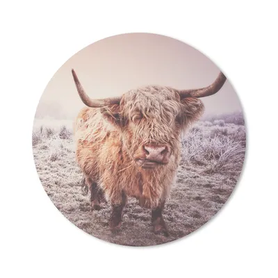 Produktbild von MuchoWow® Mauspad Mousepad Schottische Highlander - Schnee - Sonne 40x40 cm - Mousepads - Maus Mat - Pad - Mausunterlage - Schreibtisch Accessoires