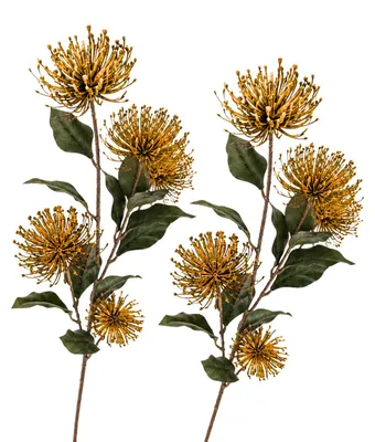 Produktbild von G.blümt Protea Pincusion Stielblume künstlich, Kunstblumen 75cm wie echt, 2 Stück in Gelb