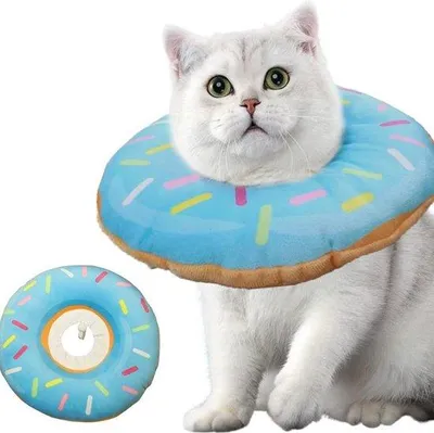 Produktbild von Famanu Schutzkragen für Katzen - Verstellbar, Komfortabel, Waschbar