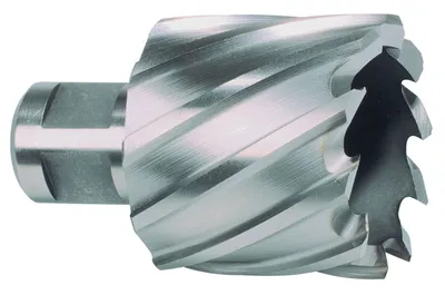 Image de Ruko Carottier diamètre 12mm HSS-Co longueur 30mm Weldon - 108212E