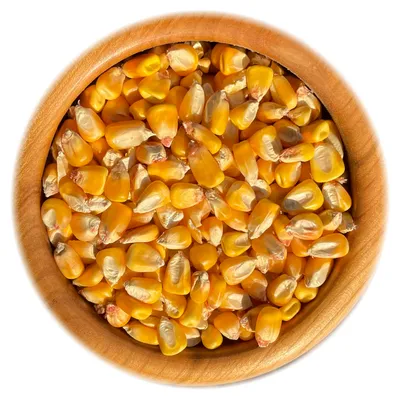 A close-up, top-down view of dried corn kernels in a wooden bowl.
