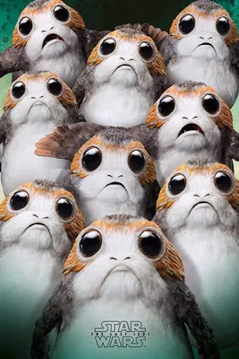 Produktbild von Pyramid Star Wars The Last Jedi Many Porgs Poster 61x91.5cm.