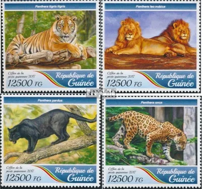 Produktbild von Briefmarken Guinea 2017 Mi 12595-12598 (kompl. Ausgabe) postfrisch Große Katzen