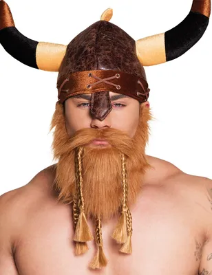 Image de Bart Viking