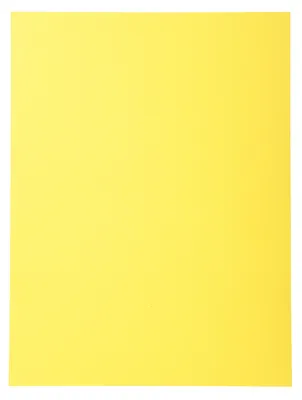 Image de Exacompta 420205E : Paquet de 50 intercalaires "Forever®", grammage 170 g/m², fabriqués à partir de carton recyclé