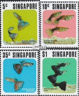 Produktbild von Briefmarken Singapur 1974 Mi 209-212 (kompl.Ausg.) postfrisch Zierfische
