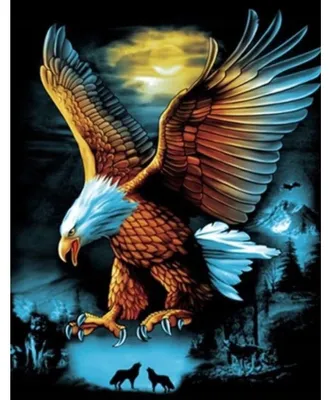 Obrázek produktu pro 40x30 cm Diamantová malba pro vlastní tvorbu DIY Diamond Painting Eagle