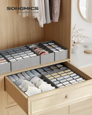 Obrázek produktu pro SONGMICS, skládací úložné boxy na prádlo, sada 8 kusů, organizéry do šatní skříně, úložné boxy na ponožky, podprsenky, kravaty, šedá barva, Obrázek vytvořený pomocí AI