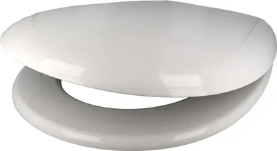 Produktbild von SANIT WC-Sitz 1200 (sanline) Thermoplast ES-Scharniere, weiß - 56.051.01..0000
