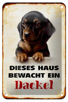 Produktbild von Blechschild Hund 12x18cm dieses Haus bewacht ein Dackel