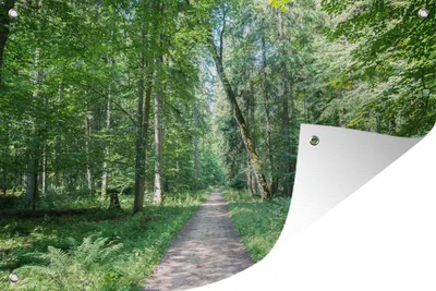 Produktbild von MuchoWow®