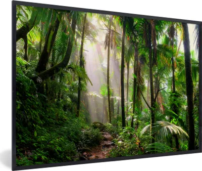 Produktbild von MuchoWow® MuchoWow® Gerahmtes Poster Dschungel - Palme - Kröte - Jungen - Mädchen - Kinder 90x60 cm - Poster mit zchwarzem Bilderrahmen - Fotorahmen - Foto-Plakat