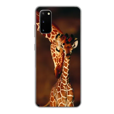 Produktbild von MuchoWow® Handyhülle Schutzhülle Hülle für Samsung Galaxy S20 Giraffe - Kalb - Porträt Silikon Softcase Handy Hülle - Bild