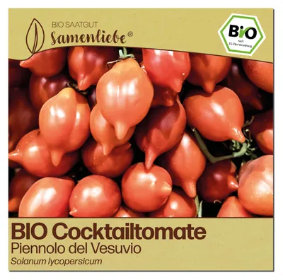 Produktbild von Samenliebe  Tomate Samen | Piennolo del Vesuvio - rot & intensiv aromatisch - samenfestes  Saatgut