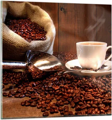 Produktbild von Bilder auf glas - Cup Samen Coffe - 70x70cm - Glasbilder - Wandbilder - Kunstdruck - zum Aufhängen bereit - Wanddekoration aus Glas - Glas Bilder - Wandbild auf Glas - Einteilig - GAC70x70-0158
