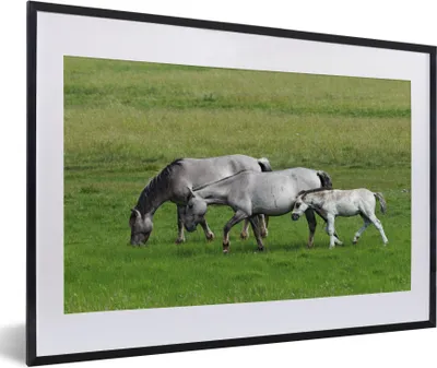 Produktbild von MuchoWow® Gerahmtes Poster Pferde - Tiere - Gras 60x40 cm - Poster mit Schwarzem Bilderrahmen Wandposter Rahmen Foto Bilder - Schlafzimmer - Plakat in Rahmen - Drucken