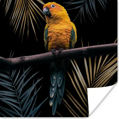 Produktbild von MuchoWow® Poster Vogel - Papagei - Zweig - Blätter 30x30 cm - Wandposter - Printing