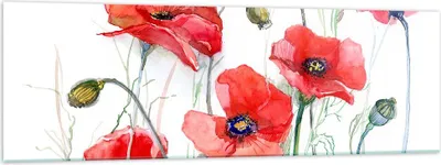 Produktbild von Bilder auf glas - Blume Mohn Wiese - 160x50cm - Glasbilder - Wandbilder - Kunstdruck - zum Aufhängen bereit - Wanddekoration aus Glas - Glas Bilder - Wandbild auf Glas - Einteilig - GAB160x50-3584