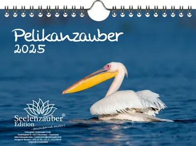 Produktbild von Pelikanzauber DIN A5 Wandkalender für 2025 Pelikan - Seelenzauber